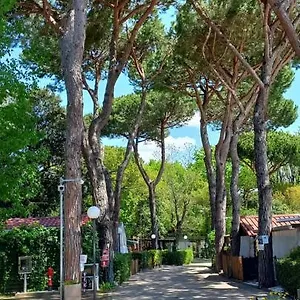 Linus Campingplatz